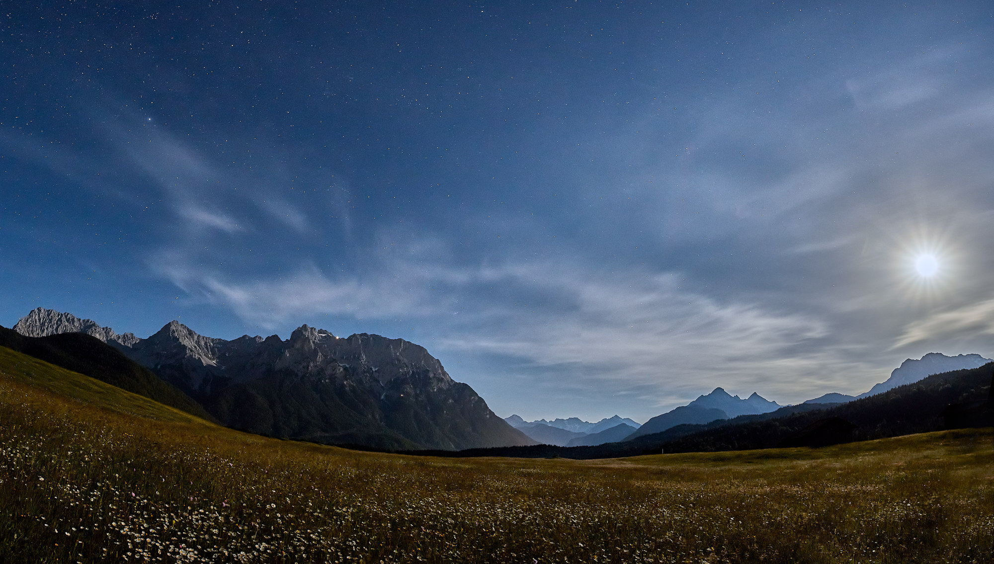 Vollmond über einer Margeritenwiese im Karwendelgebirge bei Mittenwald